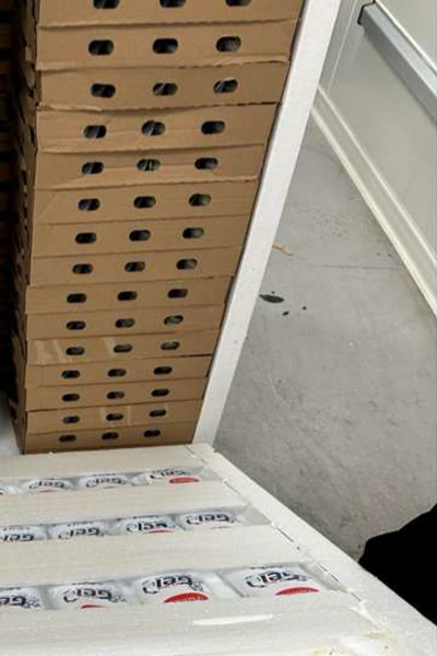 fz pallet insulated with ice box for reefer cargo